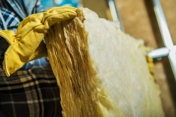 Best Residential Insulation in St Francis, KS
